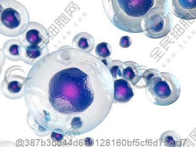 吃異維a酸檢查肝功能的注意事項